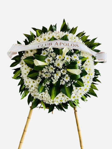 Luz y Esperanza