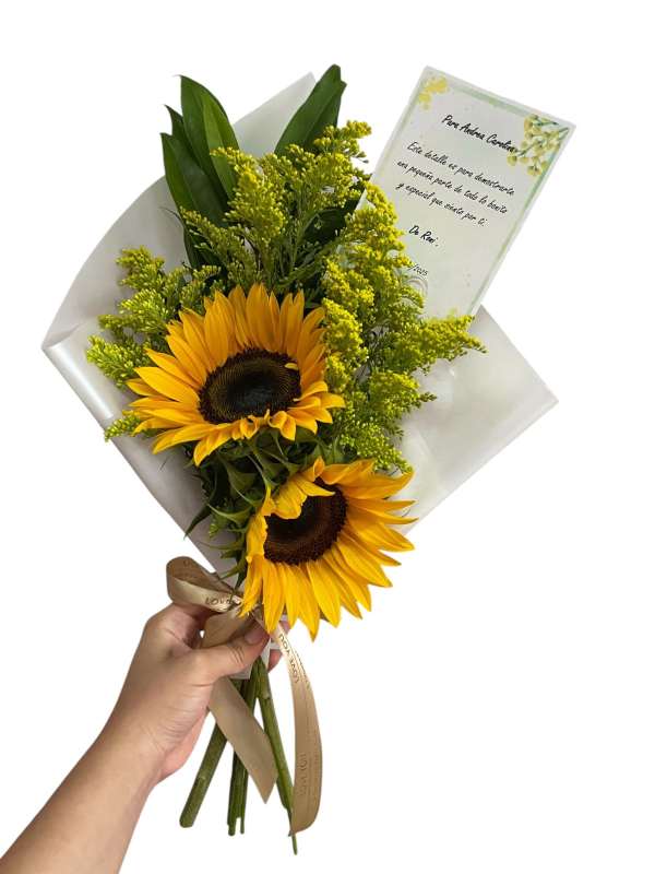 Duo Girasol
