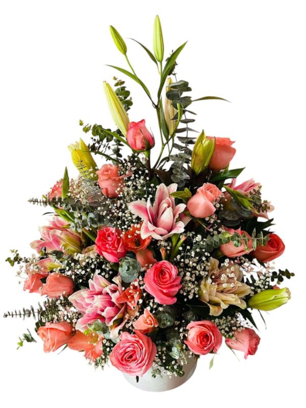 Encanto Rosado