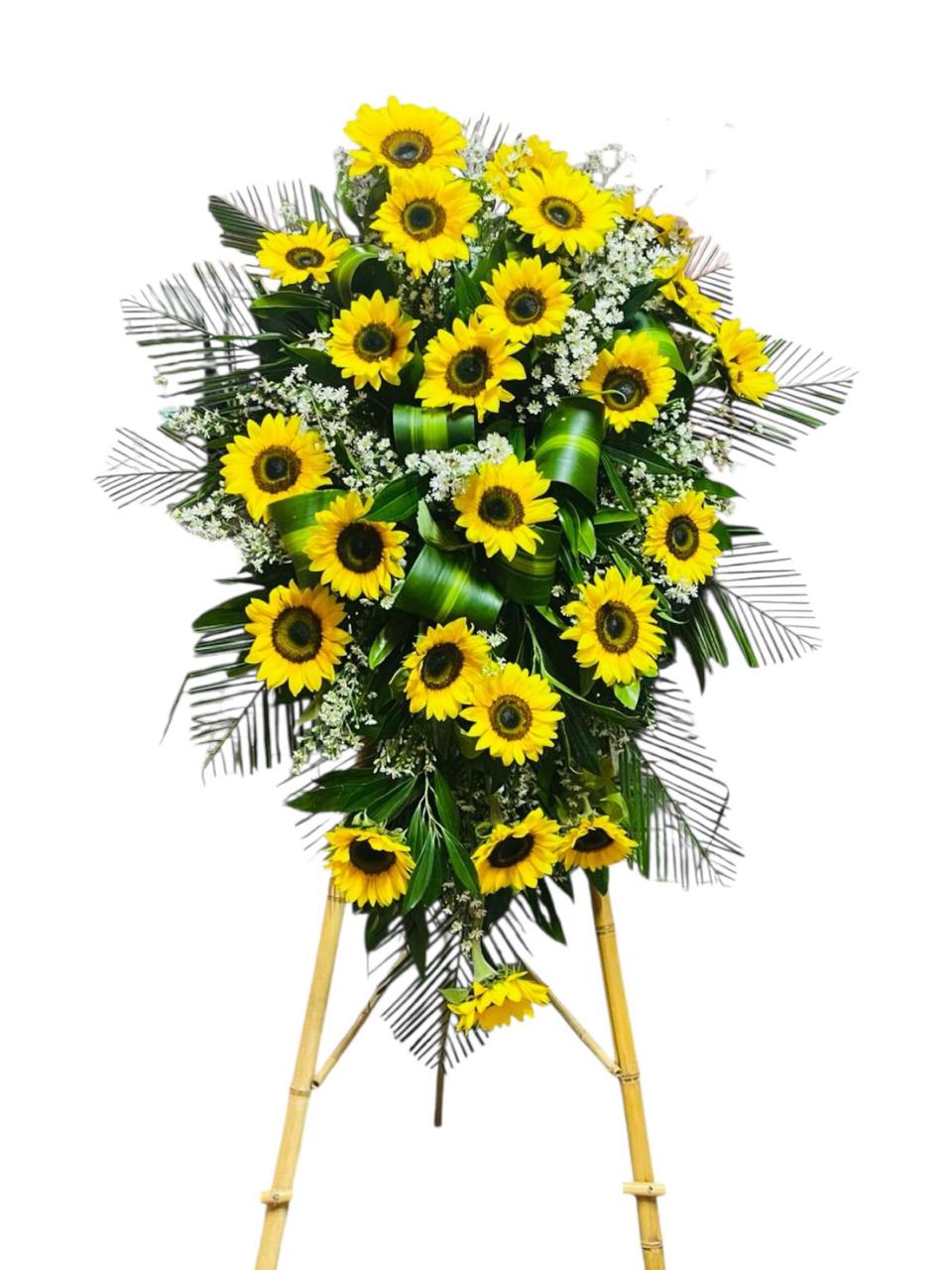 Brilla en Paz