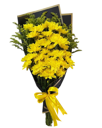 Brillo Amarillo