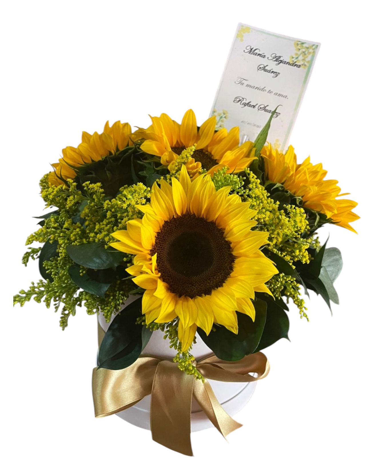 Caja de Girasoles