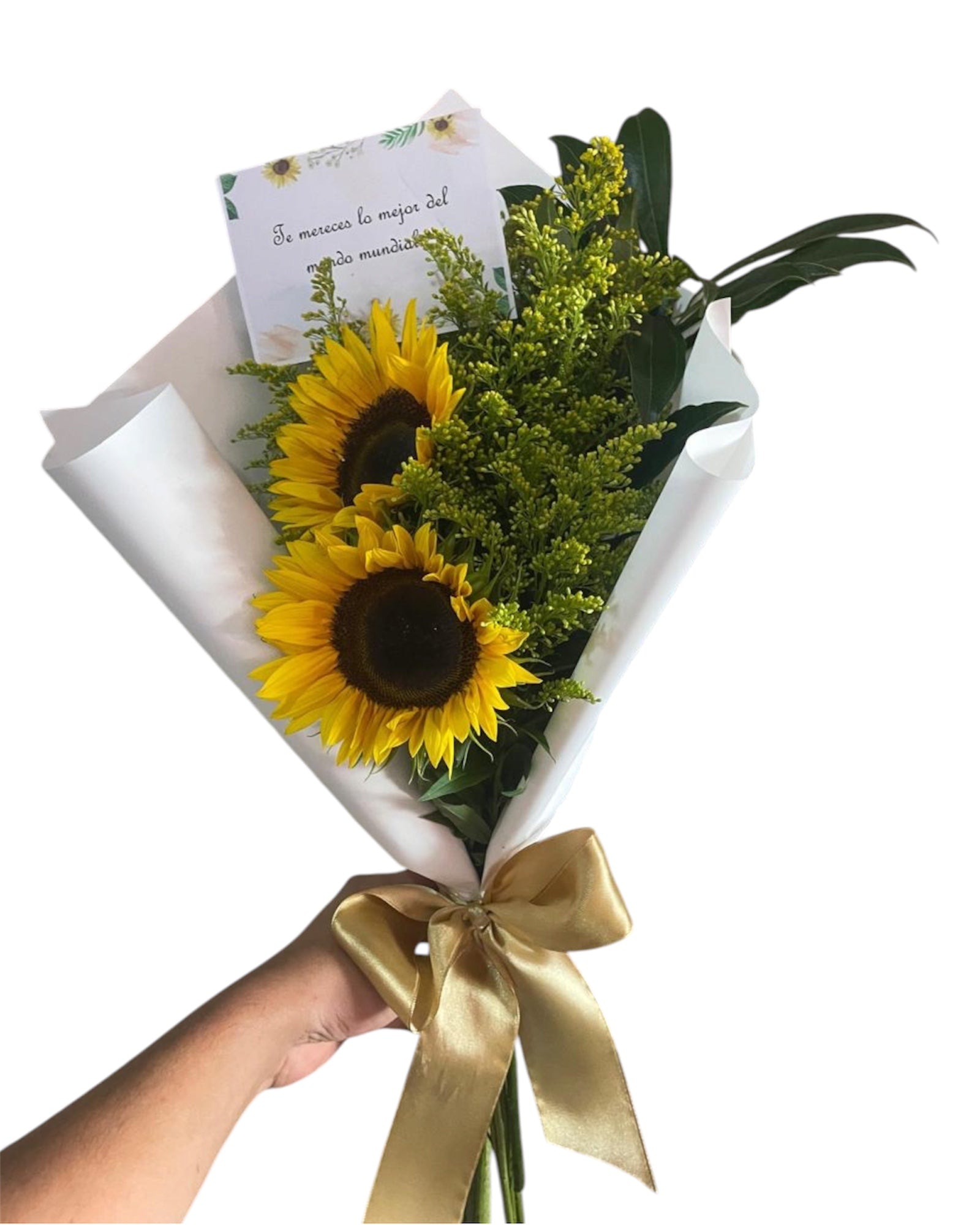 Duo Girasoles