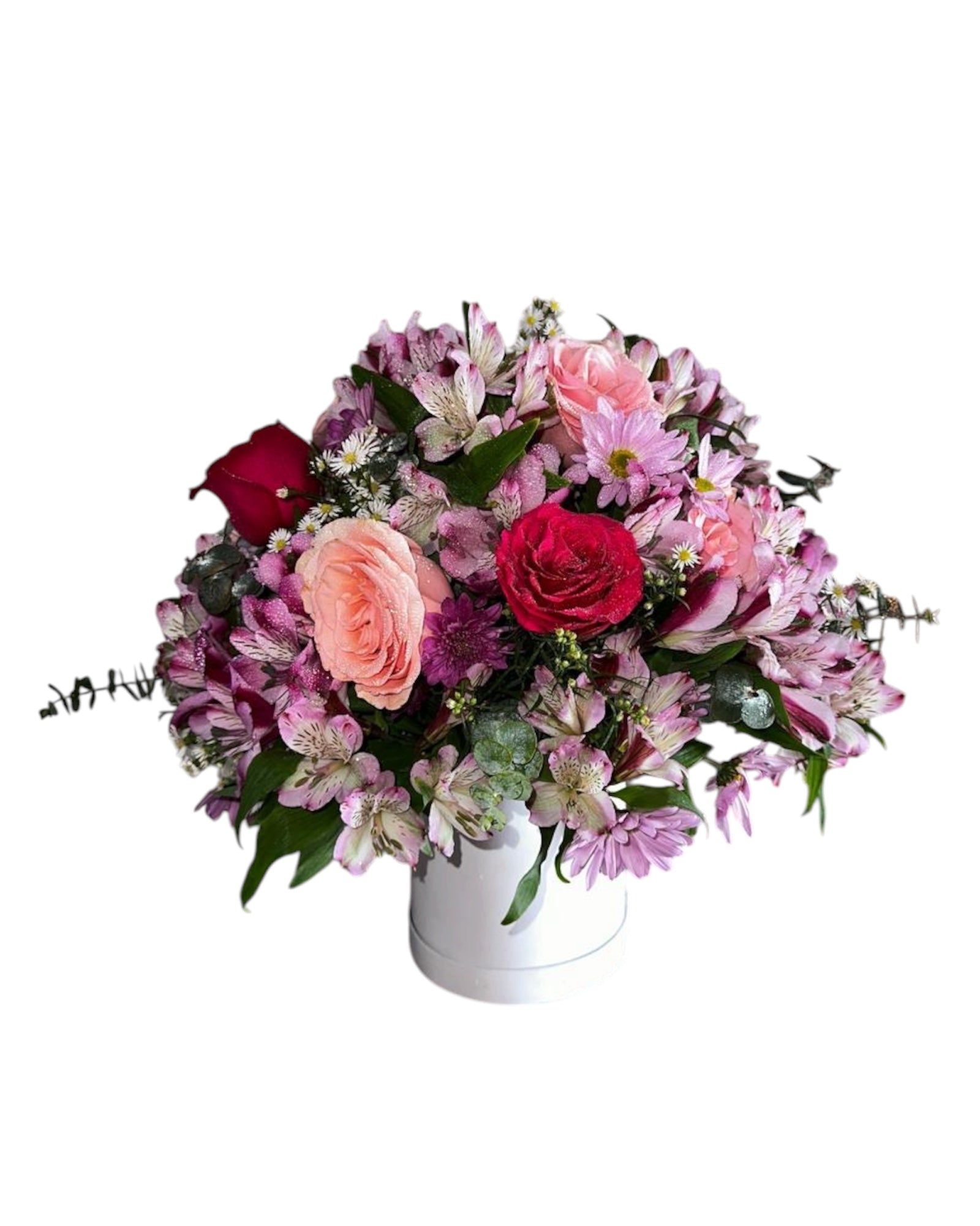 Encanto Floral