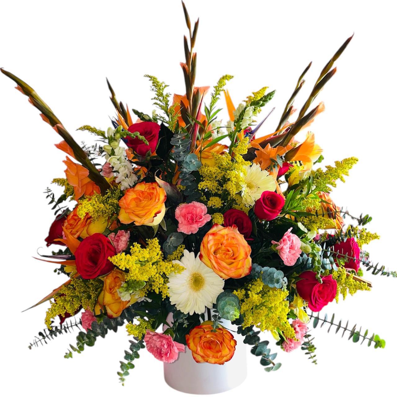Jardin Tropical