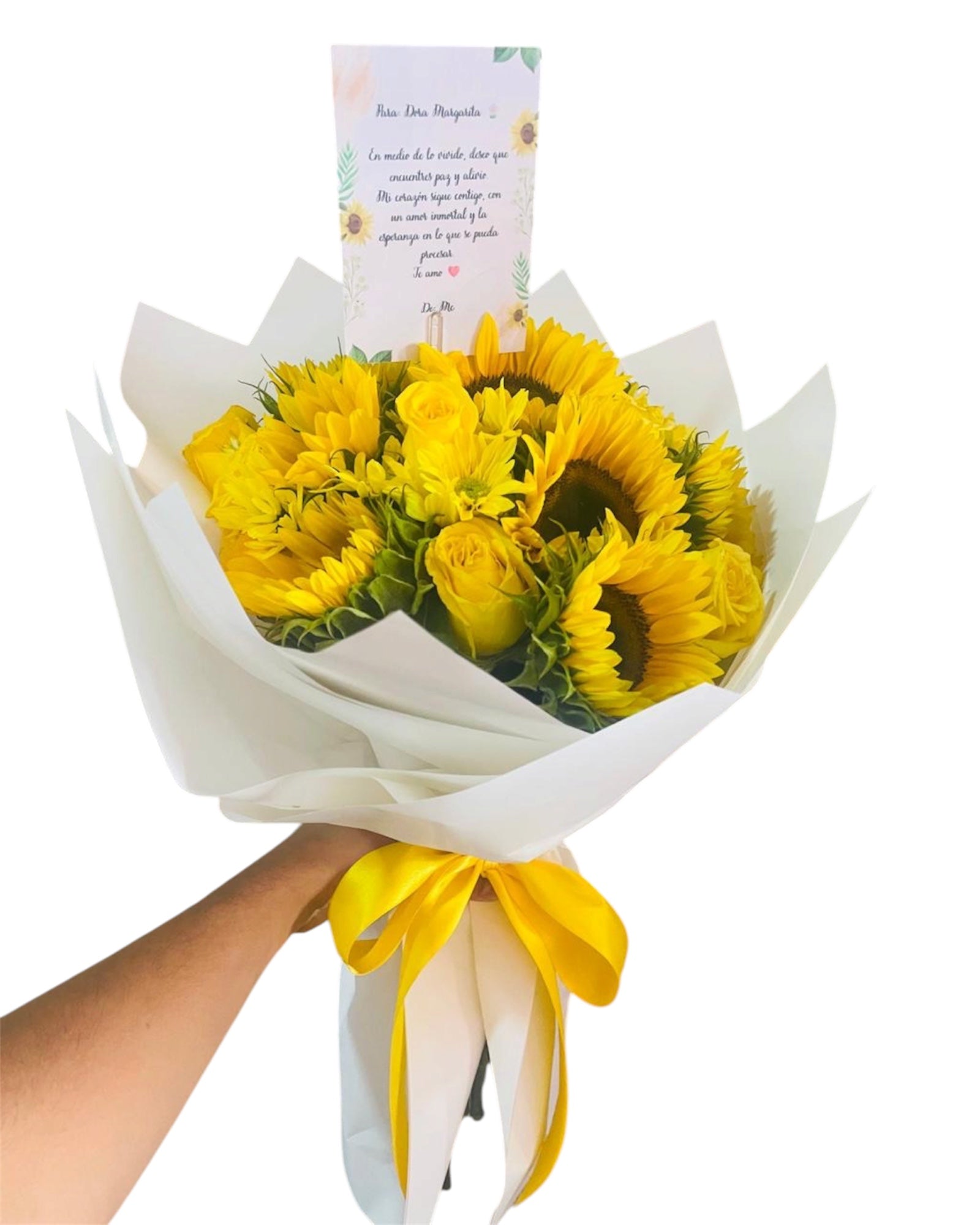 Radiante Girasoles